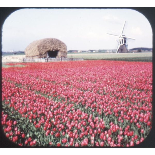 Tulip Time in Holland - GAF View-Master 3 Reel Souvenir Set on Card - BC385 Hot on Sale