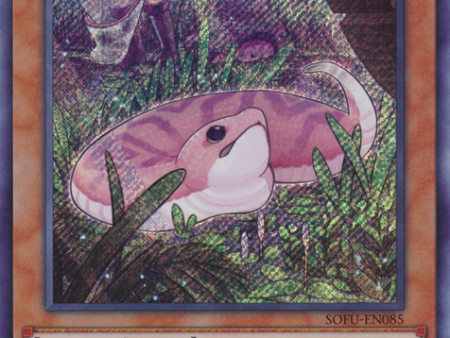 Danger!? Tsuchinoko? [SOFU-EN085] Secret Rare on Sale