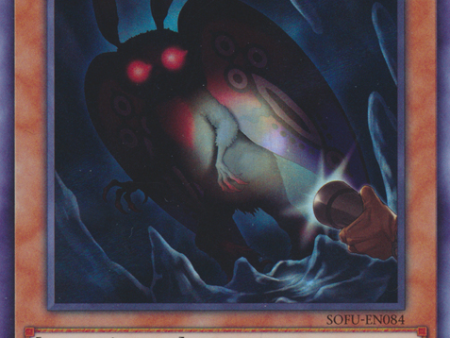 Danger! Mothman! [SOFU-EN084] Super Rare For Cheap